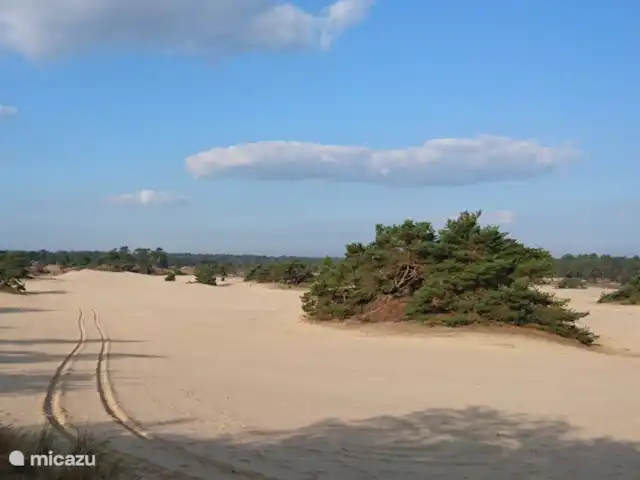Location de Vacances Pays-Bas, Gueldre, Hulshorst (lac Veluwe), villa - Vacances de rêve Veluwe Bel environnement