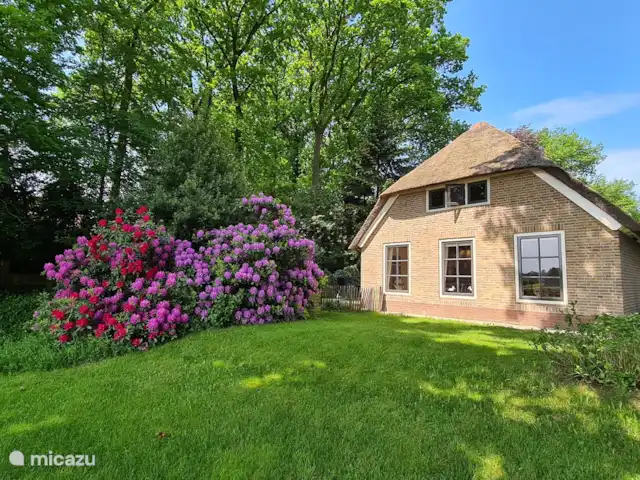 Location de Vacances Pays-Bas, Gueldre, Hulshorst (lac Veluwe), villa - Vacances de rêve Veluwe Jardin en mai 2021
