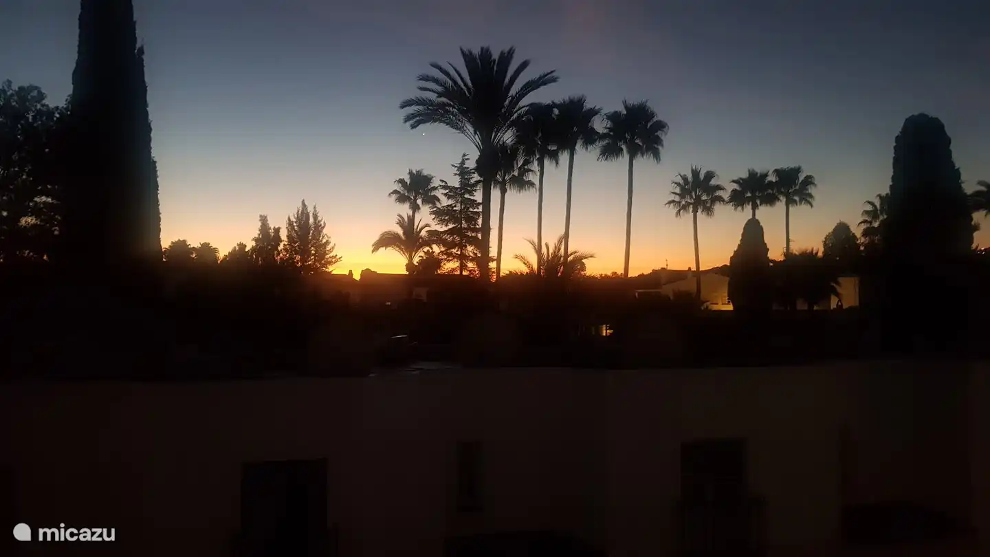 Vista desde el dormitorio al amanecer.