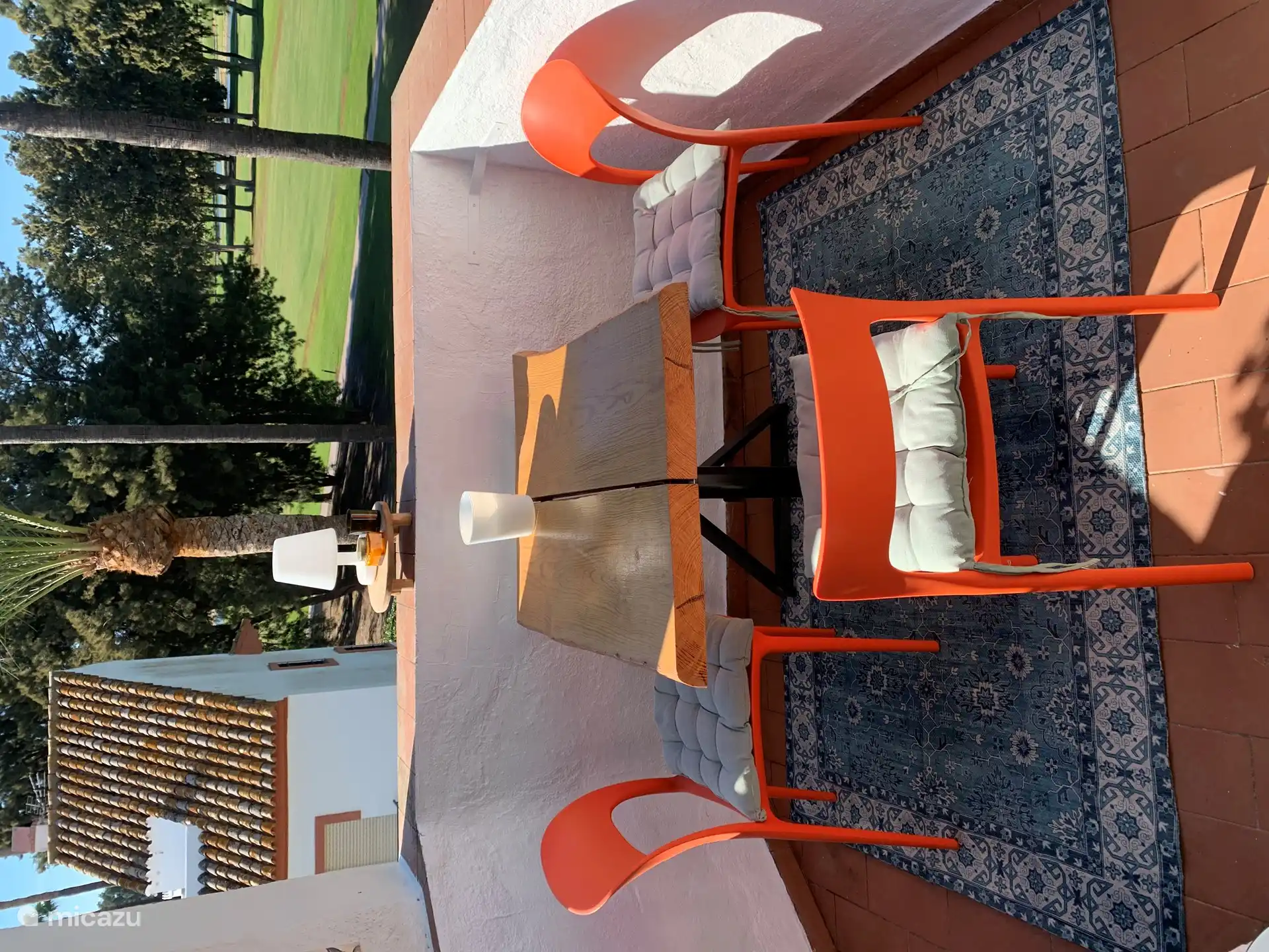 Terraza con vistas a hermosas palmeras