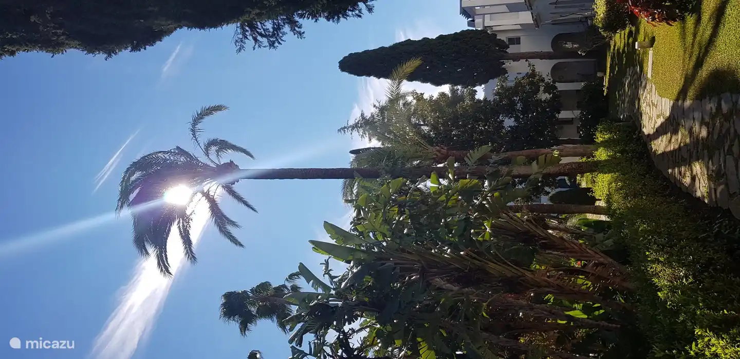 Precioso patio ajardinado que conduce a la tranquila y resguardada piscina.