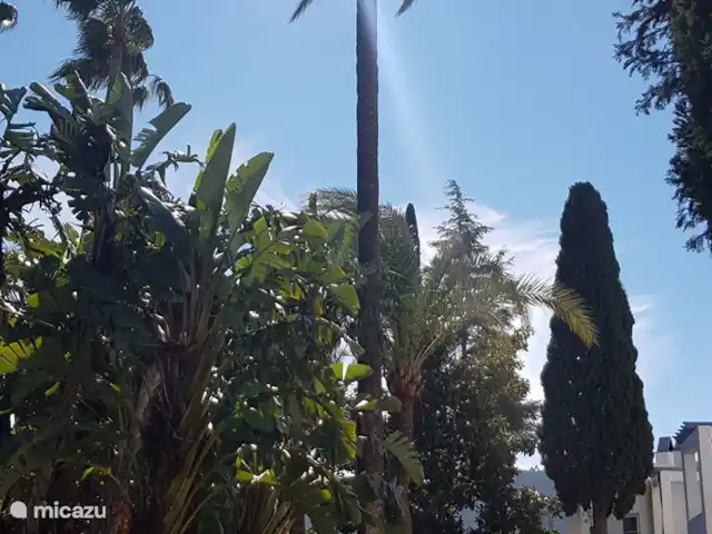 Location de Vacances Espagne, Costa del Sol, Mijas Golf, appartement - Maison Hoyo 16 Beau jardin de la cour qui mène à la piscine calme et abritée.