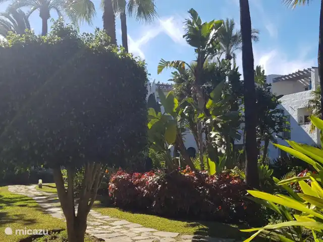 Location de Vacances Espagne, Costa del Sol, Mijas Golf, appartement - Maison Hoyo 16 Look tropical