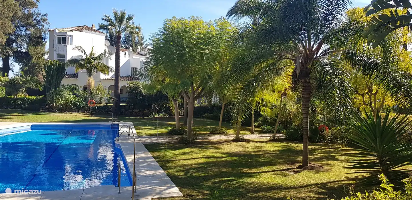 Piscina al final del patio, resguardada y tranquila.