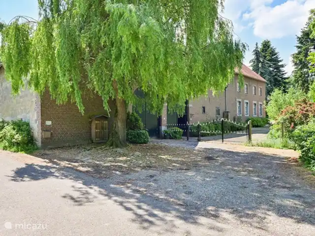Hof Caerdebeeck - Le jardin des cerisiers | Pays-Bas, Limbourg, Escalade - maison de vacances Se garer sous le saule pleureur, devant le portail.