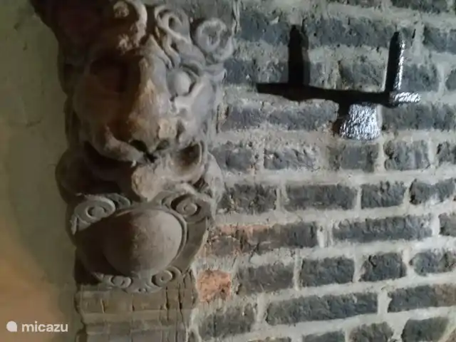 Hof Caerdebeeck - Le jardin des cerisiers | Pays-Bas, Limbourg, Escalade - maison de vacances Détail cheminée d'origine de 1625