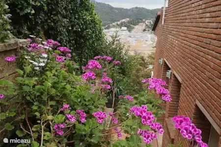 Vakantiehuis Spanje, Costa Brava, Tossa de Mar vakantiehuis Janette