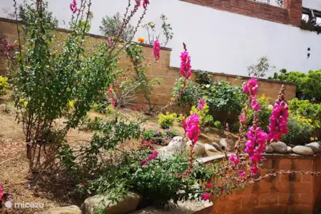 Vakantiehuis Spanje, Costa Brava, Tossa de Mar vakantiehuis Janette