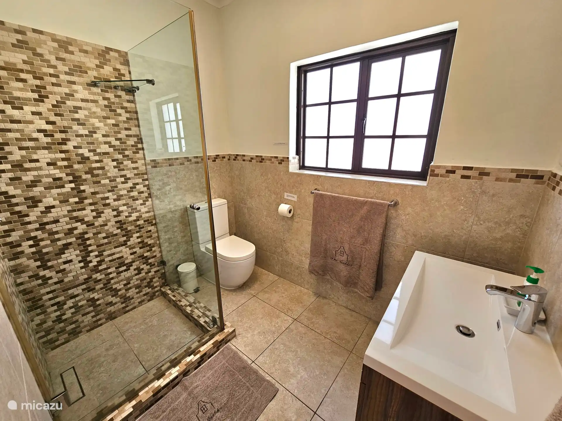 Badkamer op begane grond van de cottage met douche cabine,grote wastafel en toilet