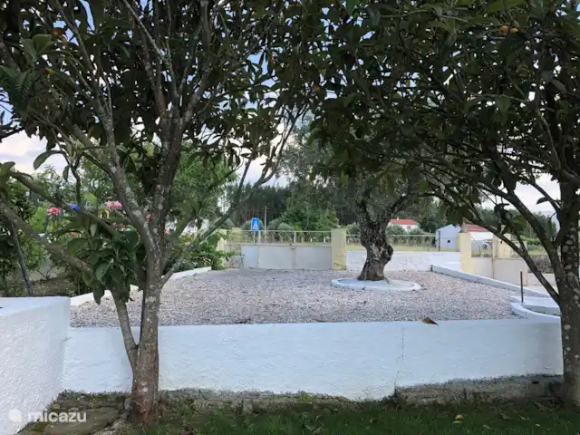 A Casa Amarela | Portugal, Coimbra, Pinheiro de Coja - maison de vacances