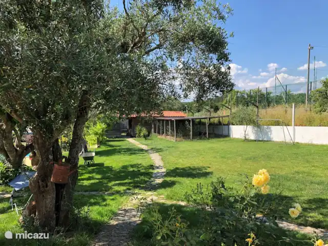 A Casa Amarela | Portugal, Coimbra, Pinheiro de Coja - maison de vacances