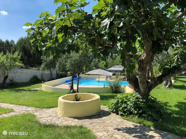 A Casa Amarela | Portugal, Coimbra, Pinheiro de Coja - maison de vacances