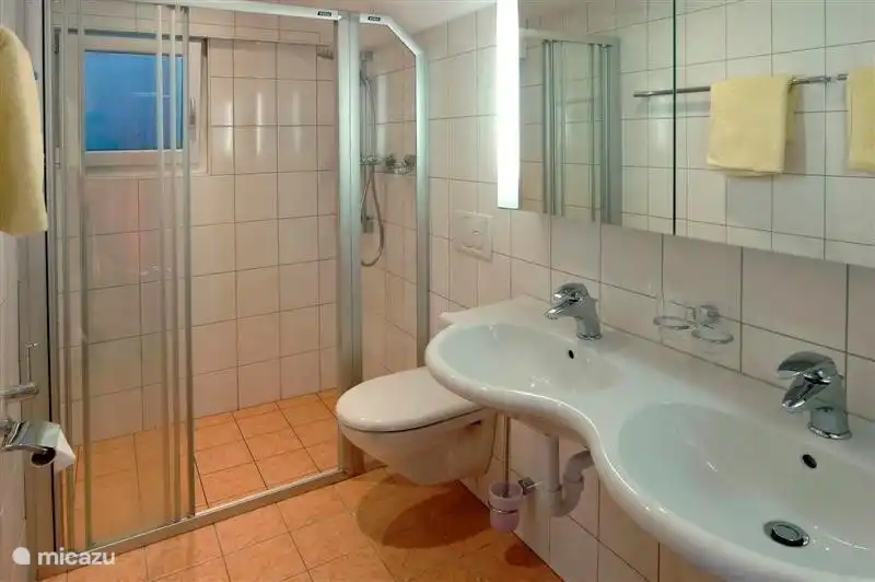 Downstairs Area, Bathroom with shower / double sinks and toilet
