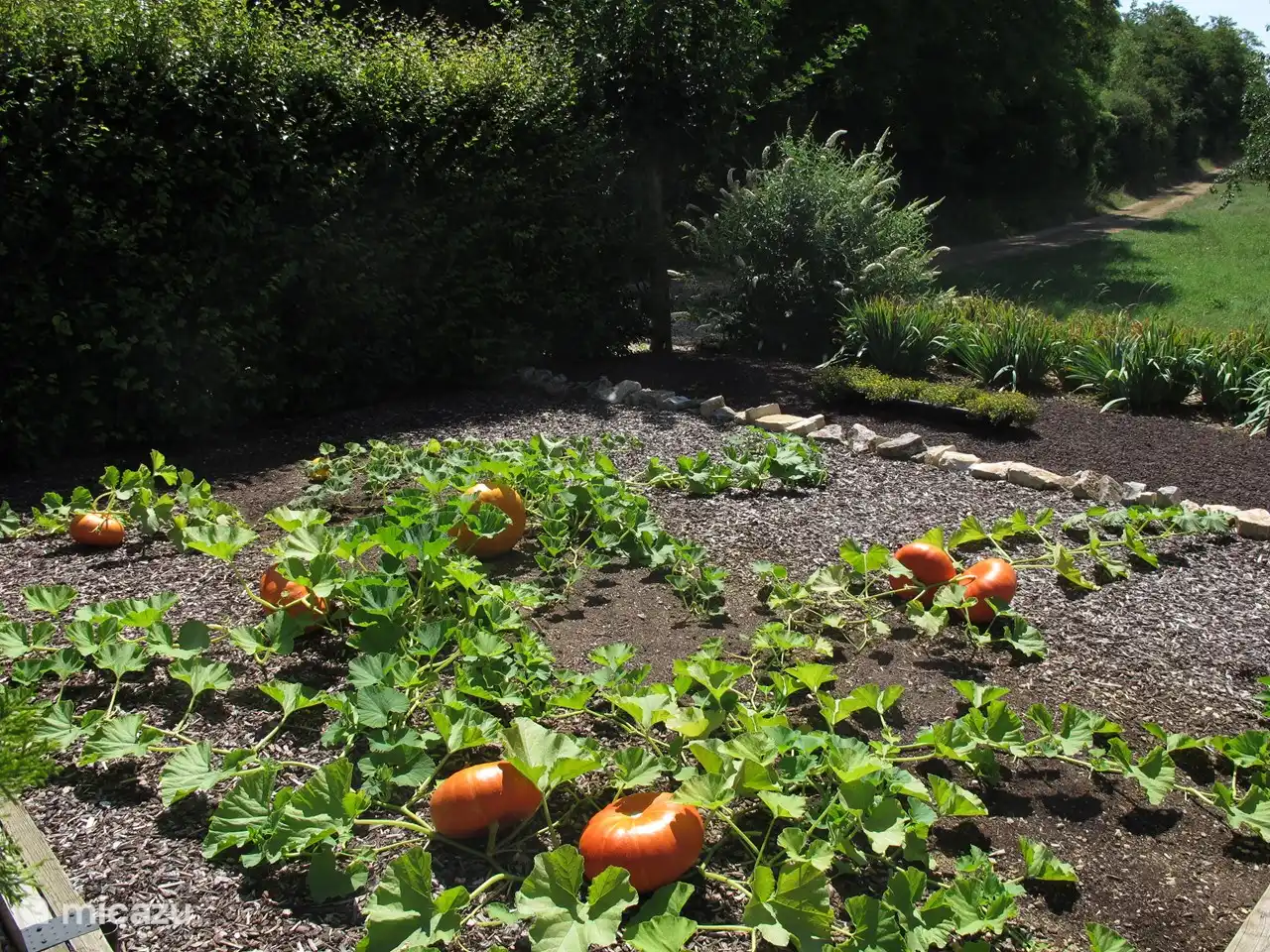 part of the garden in front of the g&#238;te