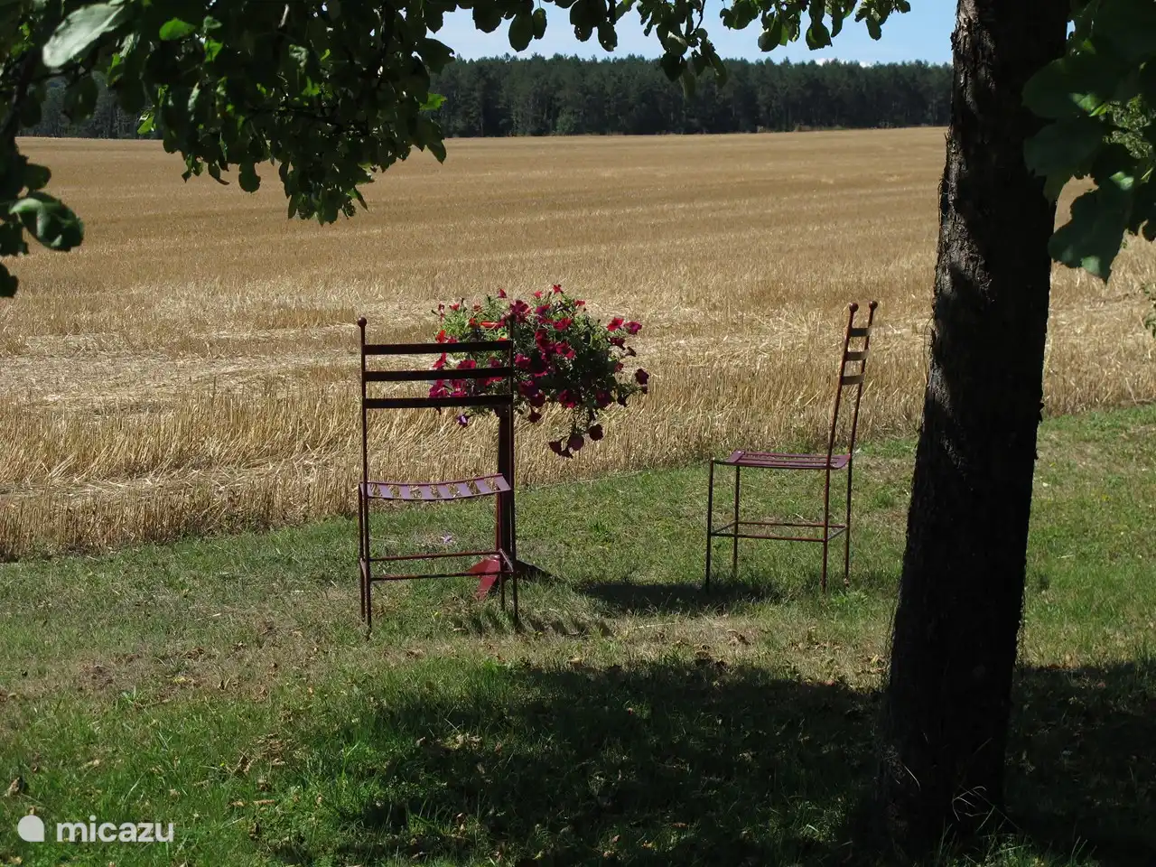 transition garden to “La campaign”