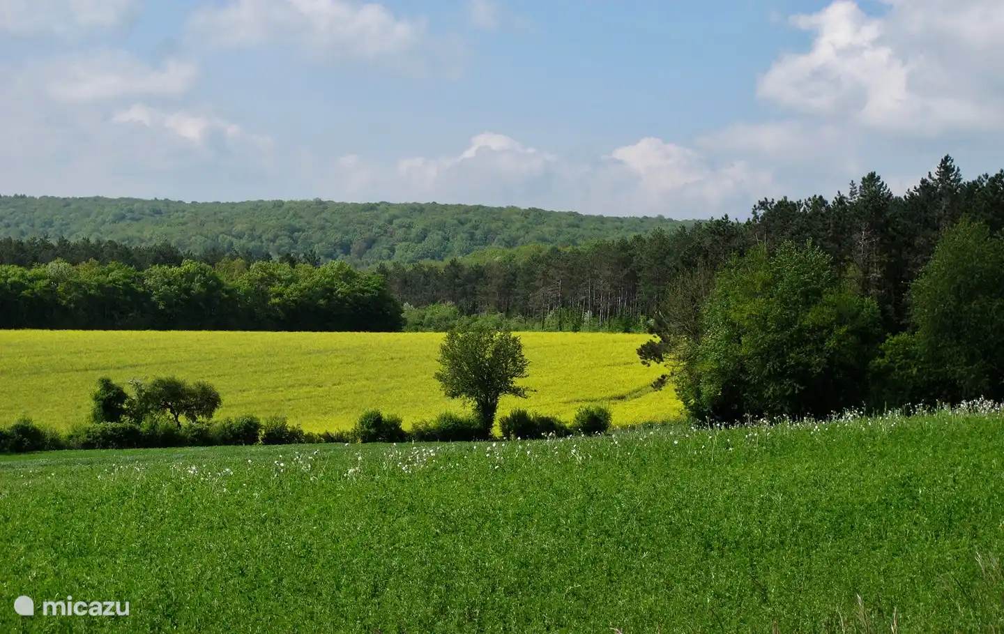 “la campaign” around “La Jeunesse”