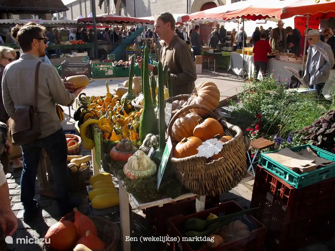 super nice market in Beaune
