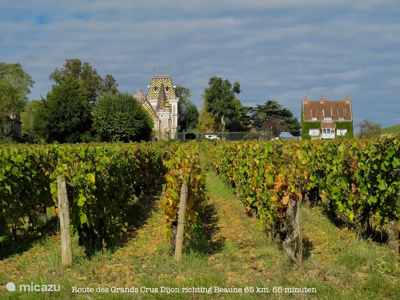 along the Route des Grands Crus
