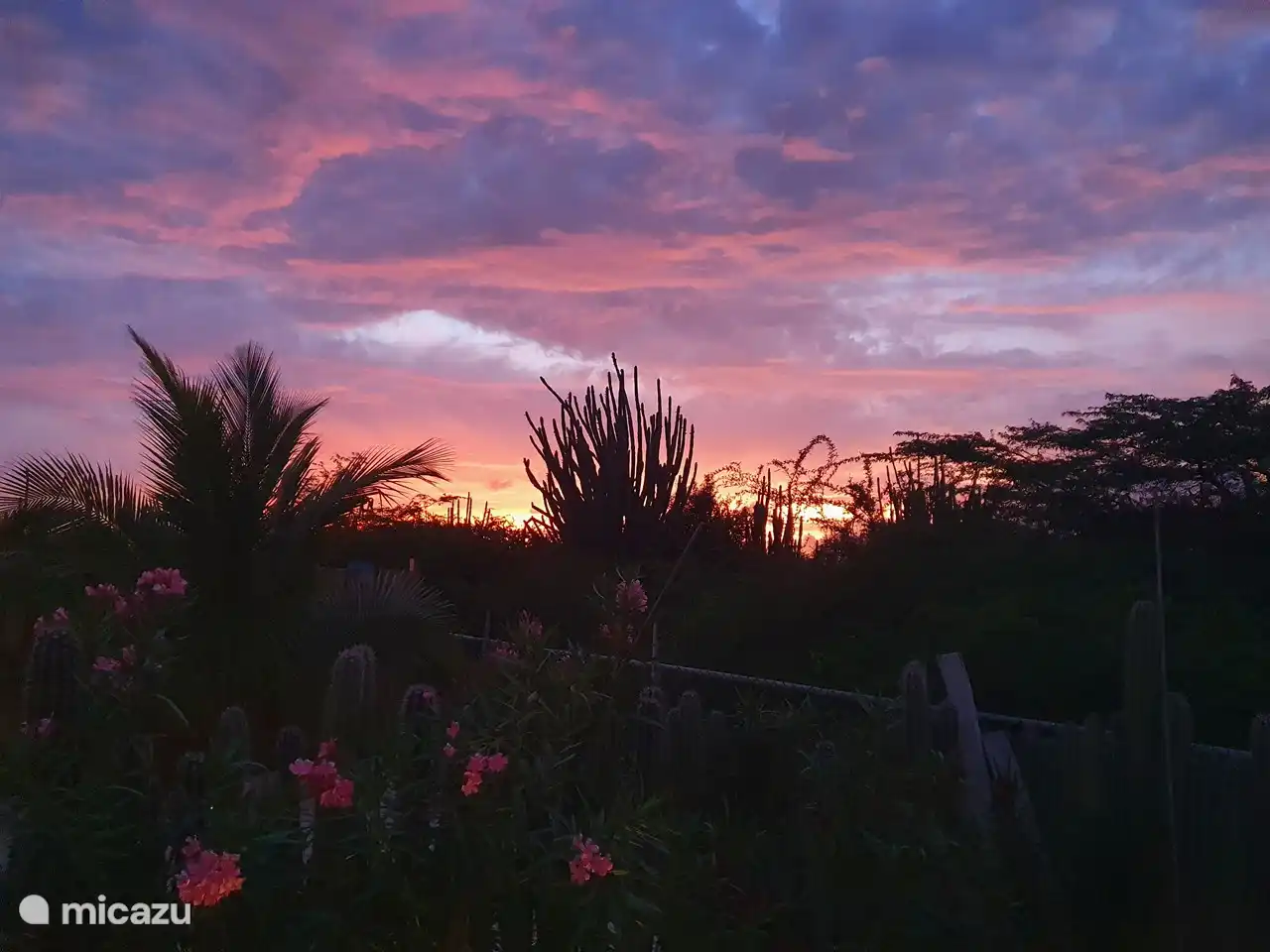 Prachtige zonsondergang vanuit de tuin