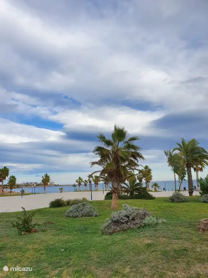 Boulevard La Flamenca.