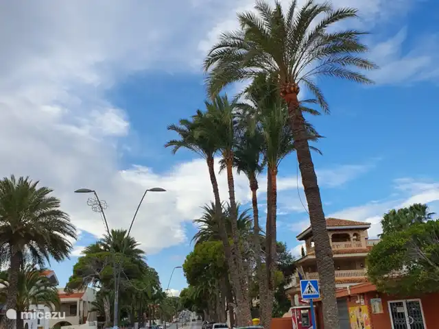 Residencial Green Hills | Espagne, Costa Blanca, Orihuela Costa - appartement Une photo de la région.