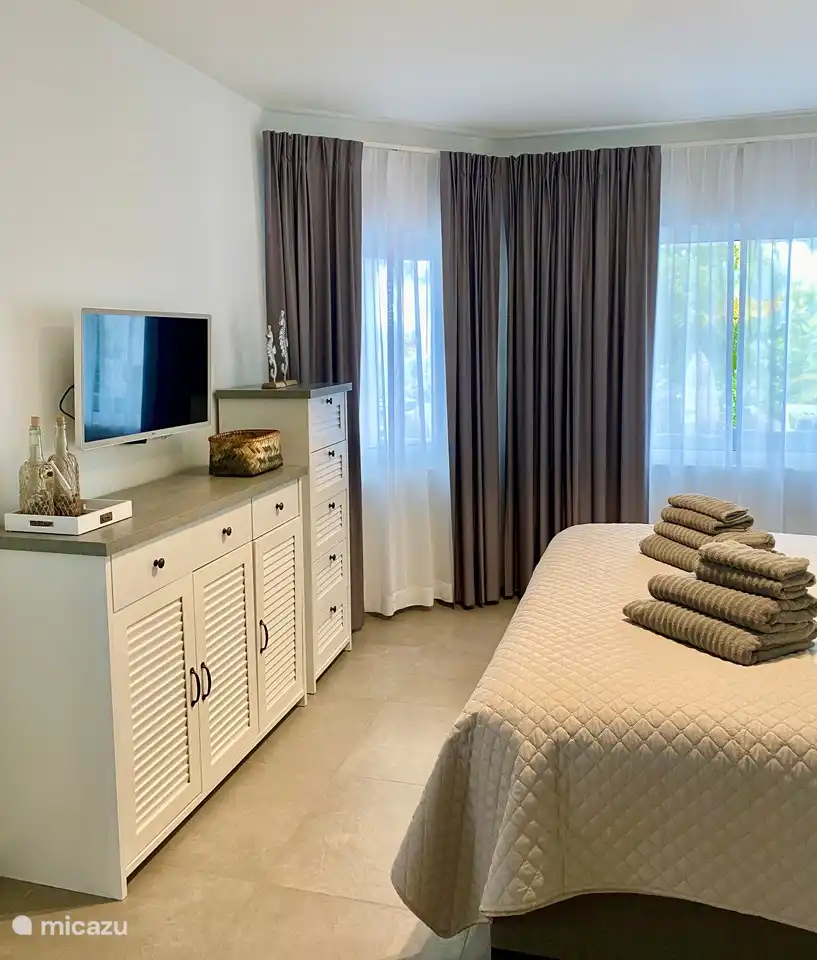 Master bedroom with TV