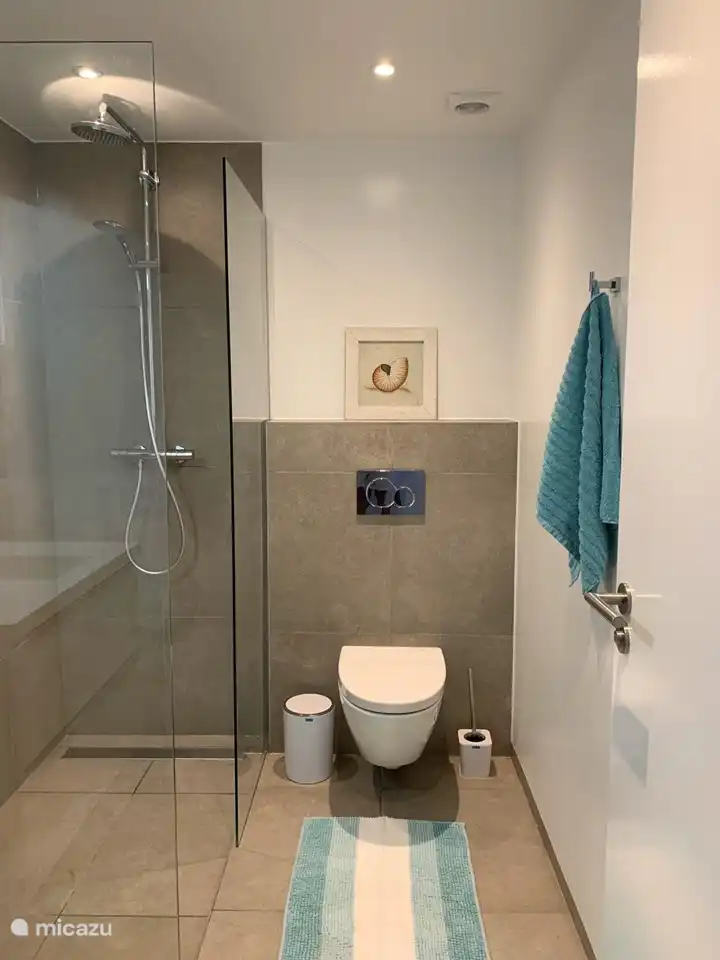 Second bathroom with sink, rain shower and toilet