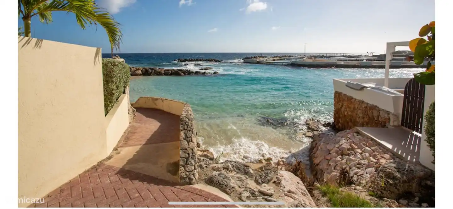 One of the most beautiful reefs is located on the Curacao Ocean Resort. Fantastic place to snorkel. You can also see the dolphins of the seaaqarium while snorkeling.