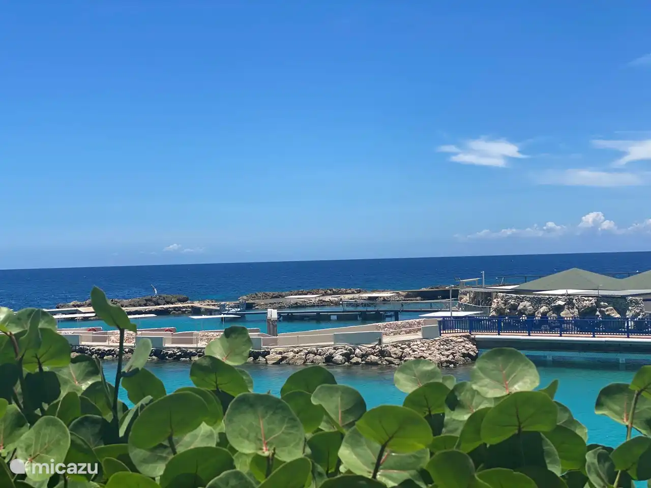Sea aquarium and ocean views