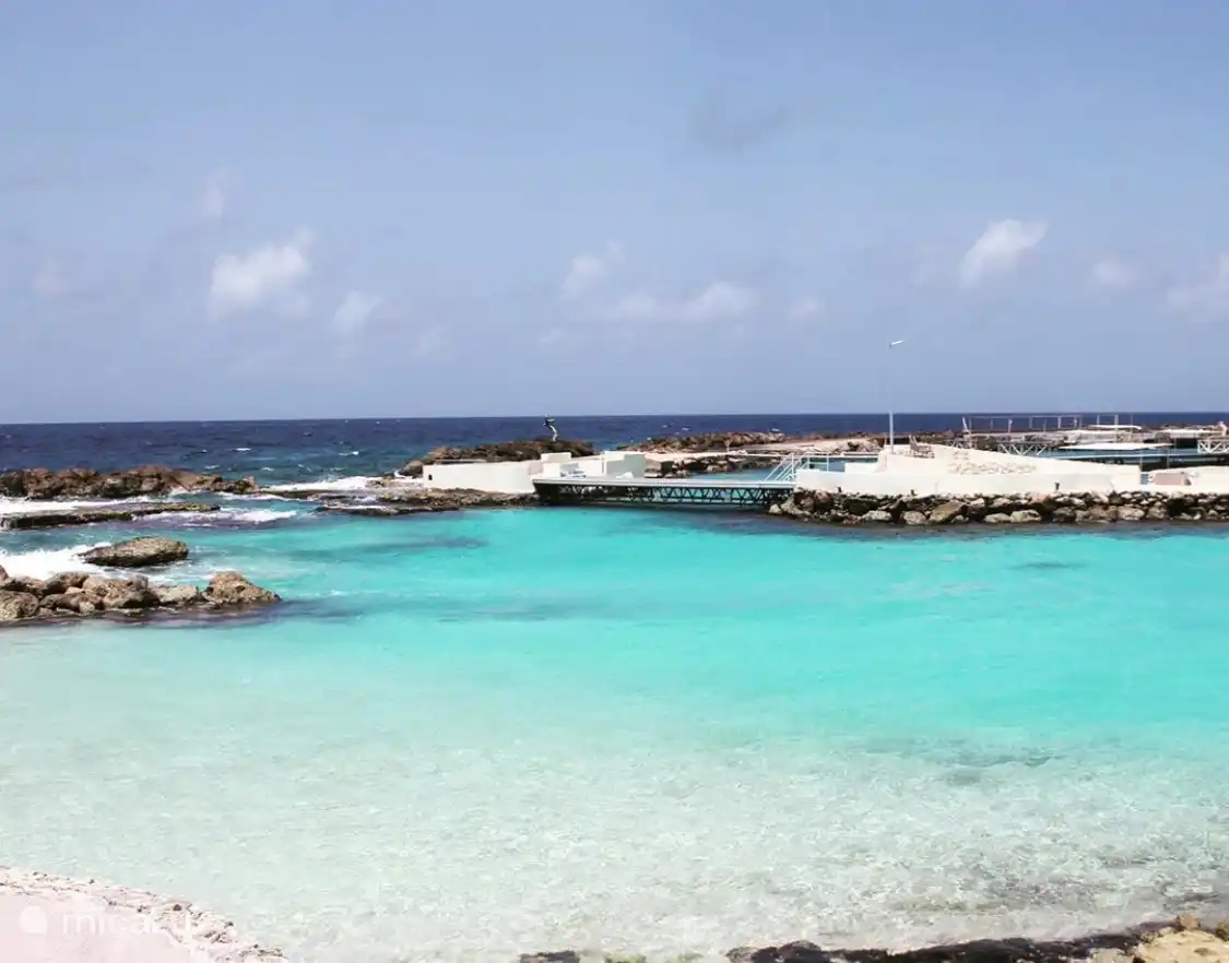 reef for snorkelling