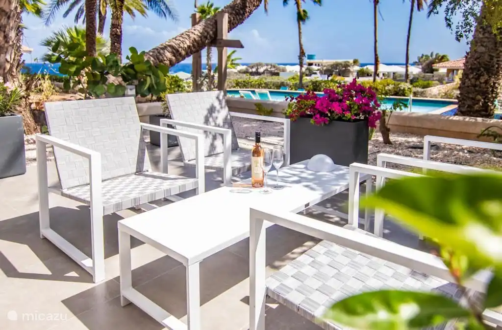 From this place you can watch the dolphin play.