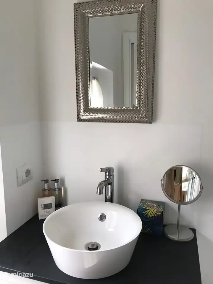 Votre salle de bain privée dispose d'un lavabo, de toilettes/bidet et d'une douche