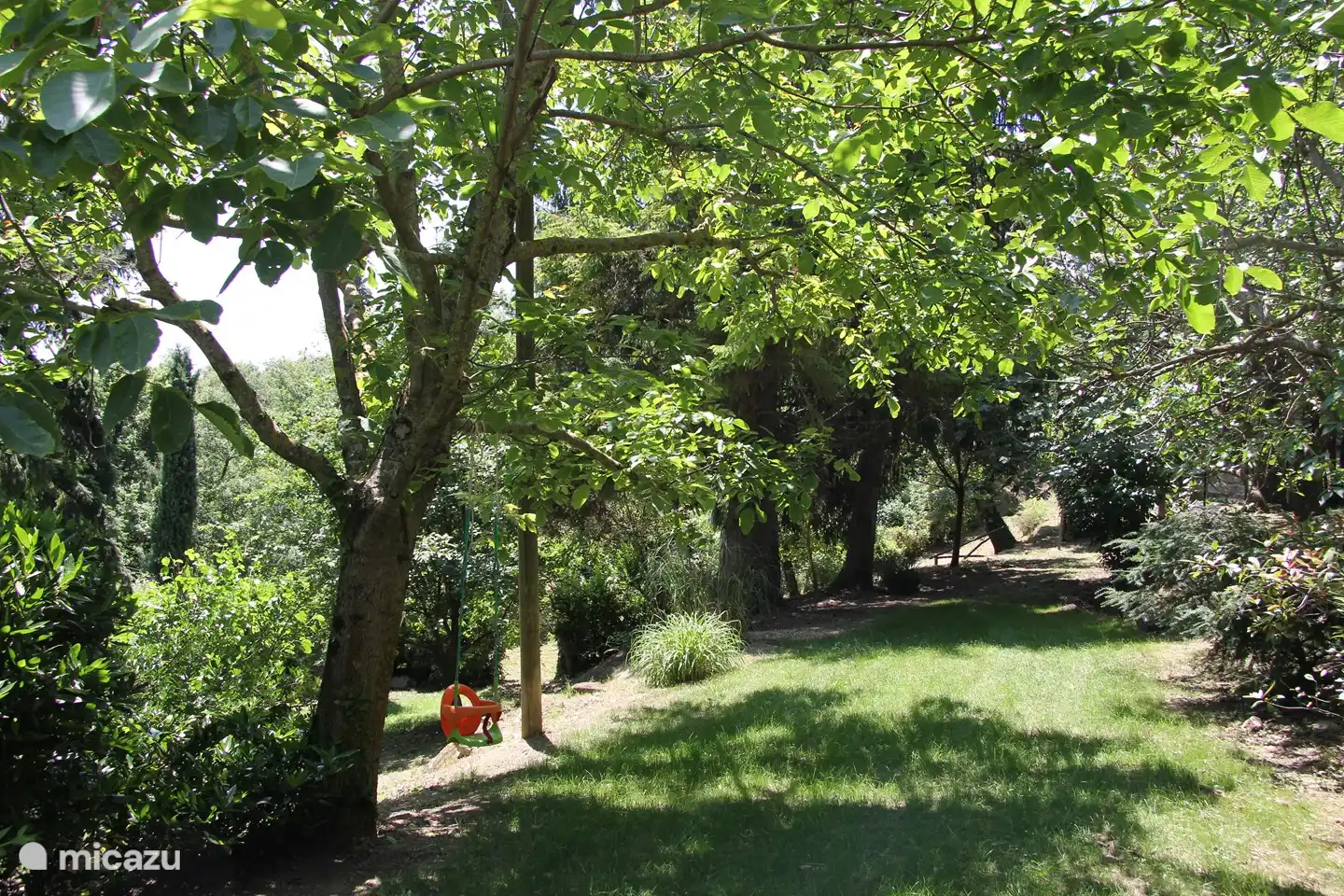 Ein Teil des Gartens, mit einer Schaukel, die an den Zweigen der Feigenbäume befestigt ist