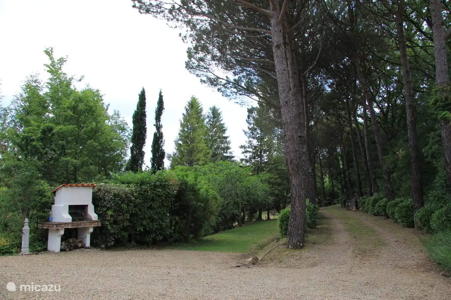 Blick von der Haustür auf den Garten und die Einfahrt