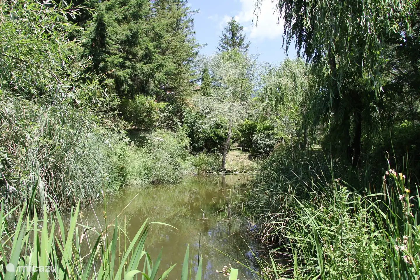 Ein natürliches Moor im Garten! Es ist völlig ökologisch ausgewogen, es ist verboten, darin zu schwimmen oder die Fische zu füttern