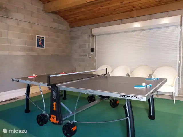 Location de Vacances France, Vaucluse, Saumane-de-Vaucluse, villa - Villa113 Domaine les Demeures du Luc Tennis de table et fléchettes dans le garage détaché