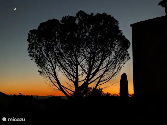 Location de Vacances France, Vaucluse, Saumane-de-Vaucluse, villa - Villa113 Domaine les Demeures du Luc Soir