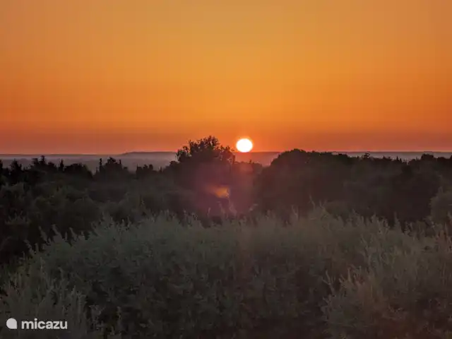 Location de Vacances France, Vaucluse, Saumane-de-Vaucluse, villa - Villa113 Domaine les Demeures du Luc coucher de soleil sur le Luberon