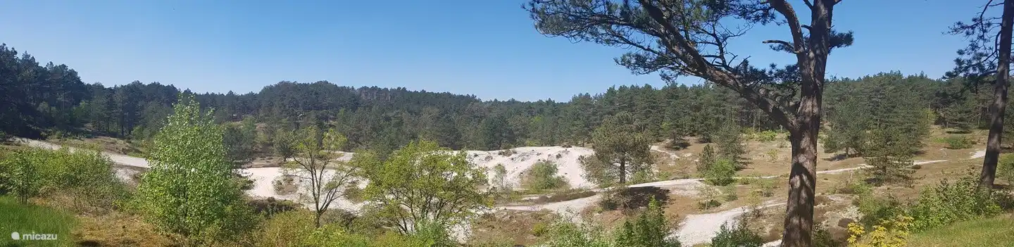 Prachtige omgeving in de uitgestrekte duinen