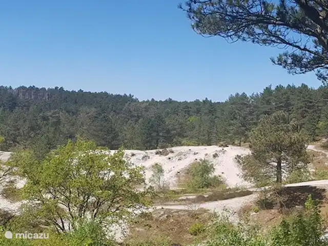 feliz en holanda en Países Bajos, Holanda del Norte, Schoorl - casa vacacional Hermoso entorno en las vastas dunas.