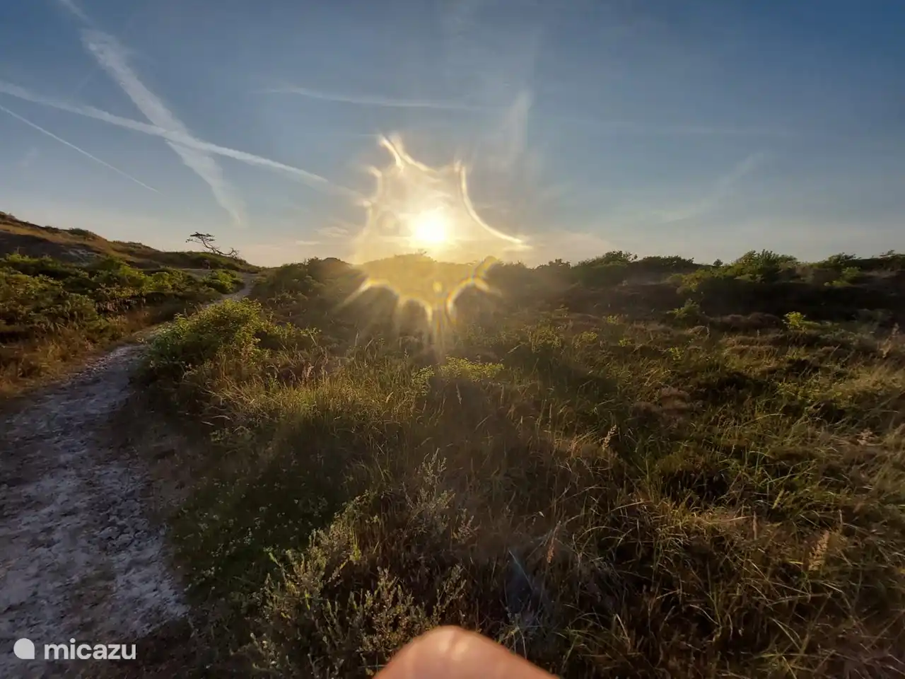 Duingebied waar je tijden lang kunt fietsen of wandelen