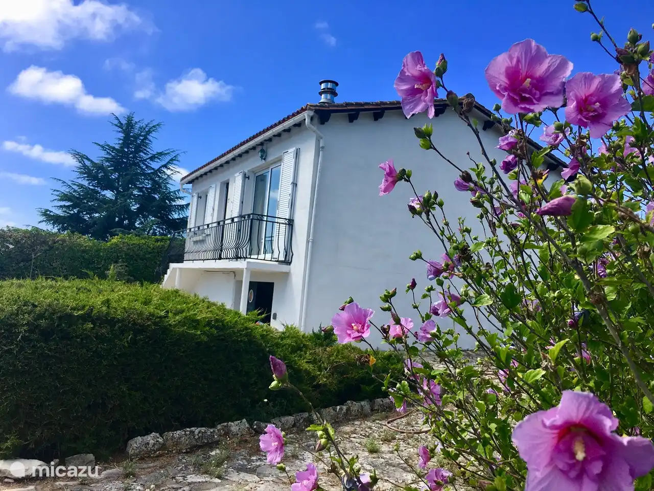 Grand jardin avec plusieurs terrasses