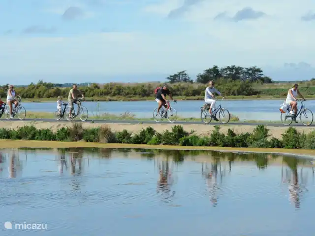 vakantiehuis huren in Frankrijk, Charente-Maritime, Le Bois-Plage-en-Ré – Vakantiehuis Rhétaise, Ile de Ré Fietspaden