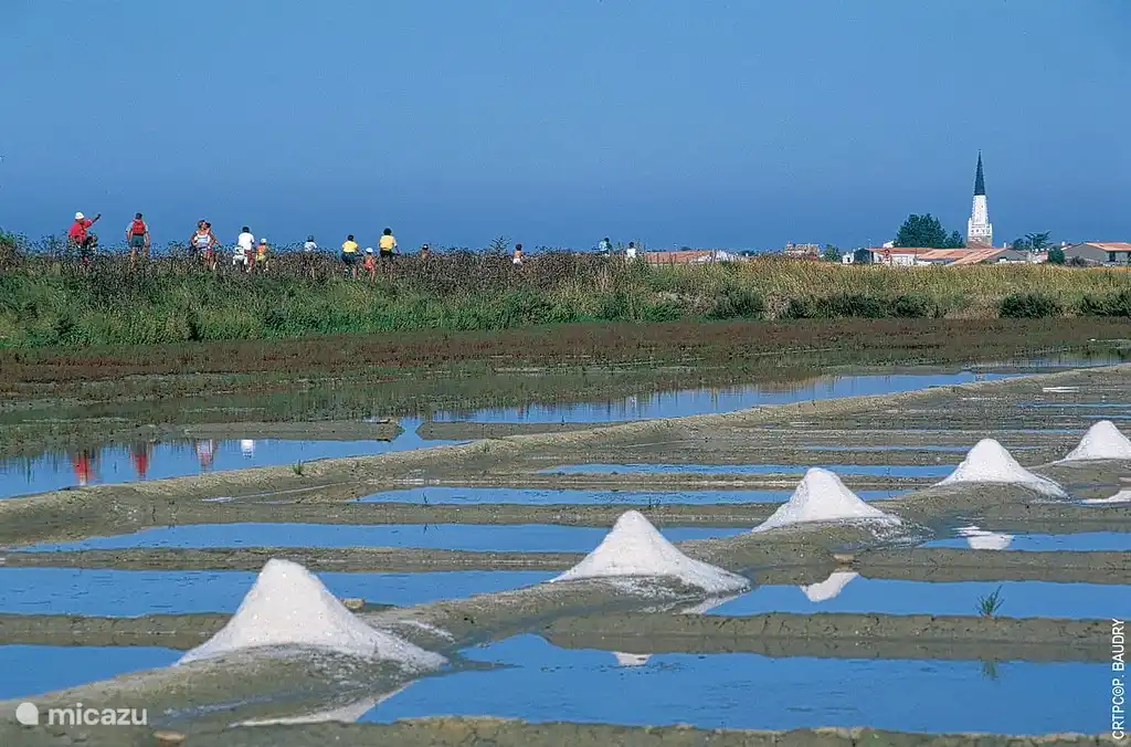 Salines Ile de Ré