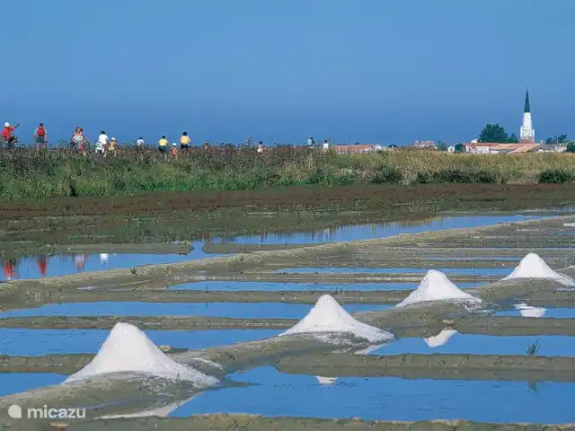 vakantiehuis huren in Frankrijk, Charente-Maritime, Le Bois-Plage-en-Ré – Vakantiehuis Rhétaise, Ile de Ré Zoutpannen Ile de Ré