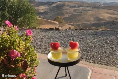 Vakantiehuis Spanje, Andalusië, Álora villa Freedom in the nature, caminodelRey