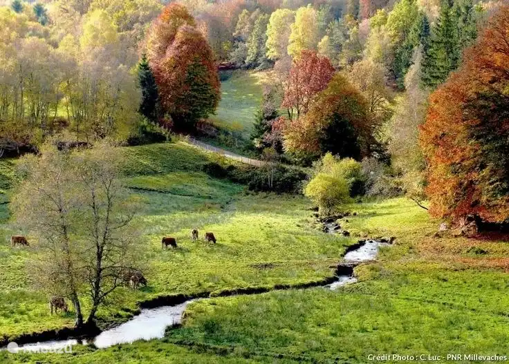 Die Landschaft ist auch im Herbst bezaubernd und alle Farben machen einen Spaziergang zu einem wahren Erlebnis.