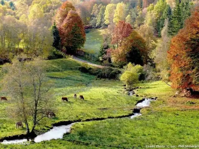 Villa Combade huren in Frankrijk, Haute-Vienne, Masléon - villa Ook in de herfst is het landschap betoverend en maken alle kleurschakeringen een wandeling tot een ware belevenis.