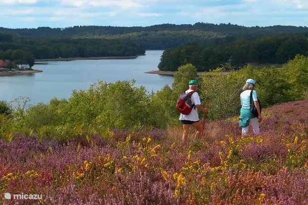 Mit diesem Bild der Umgebung können Sie es kaum erwarten, Ihre Wanderschuhe anzuziehen, um das Grün und die große Menge an Seen und Flüssen zu entdecken.