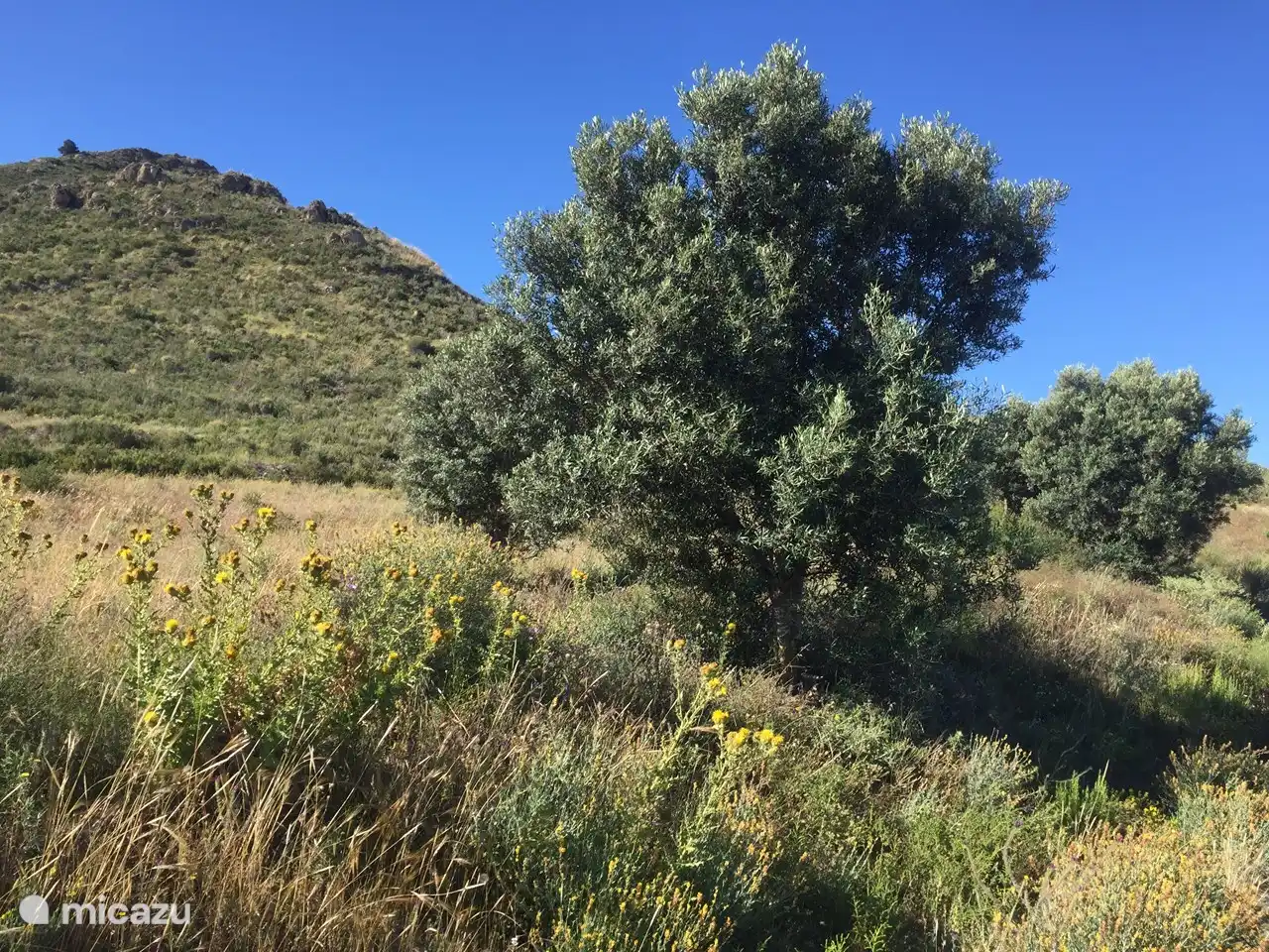 Belles zones de randonnée dans cette région de la Costa Cálida.